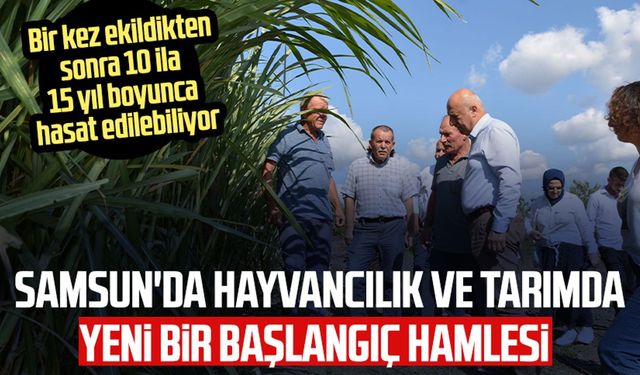 Samsun'da hayvancılık ve tarımda yeni bir başlangıç hamlesi