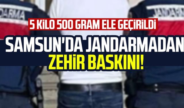 Samsun'da jandarmadan zehir baskını!