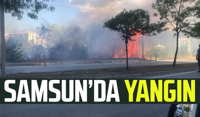 Samsun İlkadım'da otluk alanda yangın