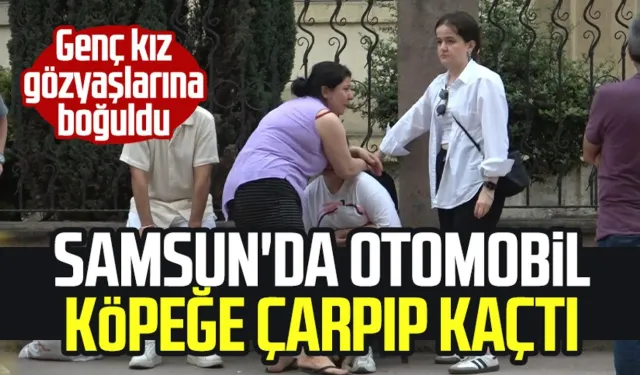 Samsun'da otomobil köpeğe çarpıp kaçtı, genç kız gözyaşlarına boğuldu