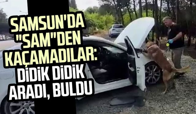 Samsun'da "Sam"den kaçamadılar: Didik didik aradı, buldu