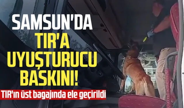 Samsun'da TIR'a uyuşturucu baskını! TIR'ın üst bagajında ele geçirildi