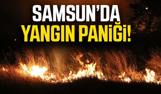 Samsun Kurupelit Yat Limanı'nında yangın paniği!