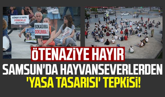 Samsun'da hayvanseverlerden 'yasa tasarısı' tepkisi: Ötenaziye hayır