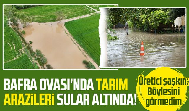 Bafra Ovası'nda tarım arazileri sular altında!