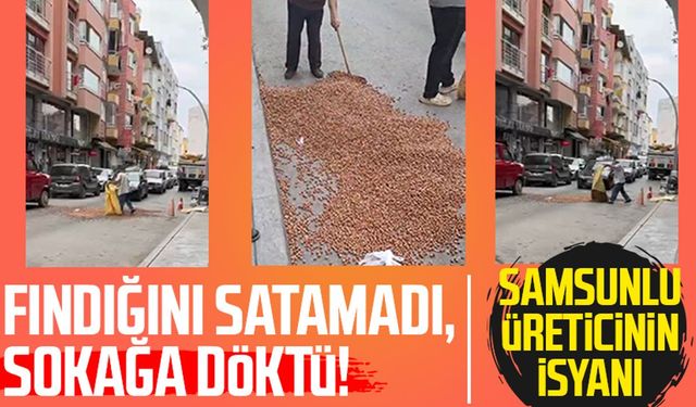 Samsunlu üreticinin isyanı: Fındığını satamadı sokağa döktü