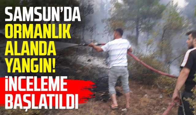 Samsun Vezirköprü'de ormanlık alanda yangın: İnceleme başlatıldı