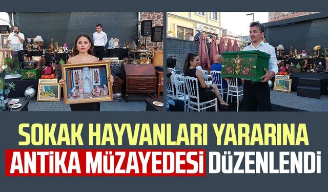 Sokak hayvanları yararına antika müzayedesi düzenlendi