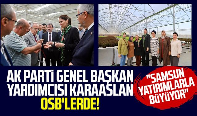 AK Parti Genel Başkan Yardımcısı Karaaslan OSB'lerde!: "Samsun yatırımlarla büyüyor"