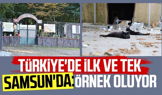 Türkiye'de ilk ve tek Samsun'da: Örnek oluyor