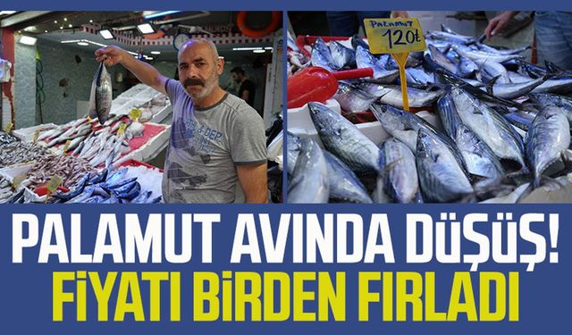 Palamut avında düşüş! Fiyatı birden fırladı