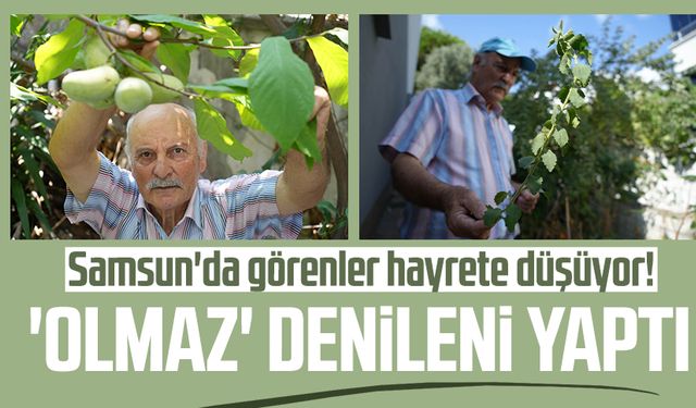 Samsun'da görenler hayrete düşüyor! 'Olmaz' denileni yaptı