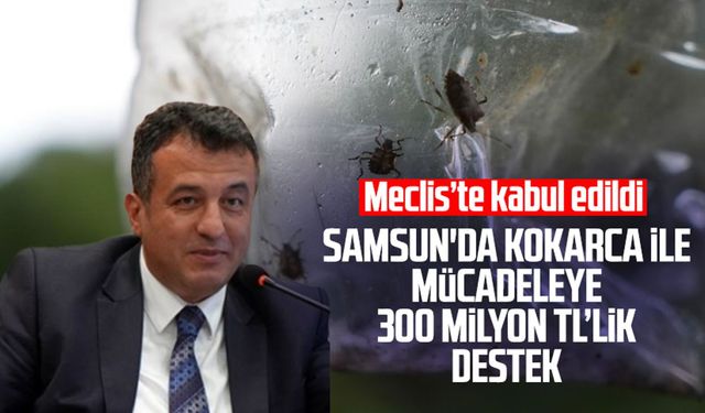 Samsun'da kokarca ile mücadeleye 300 milyon TL’lik destek