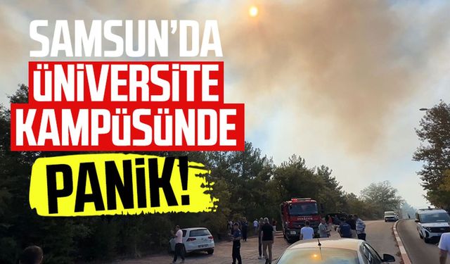 Samsun'da üniversite kampüsünde yangın!