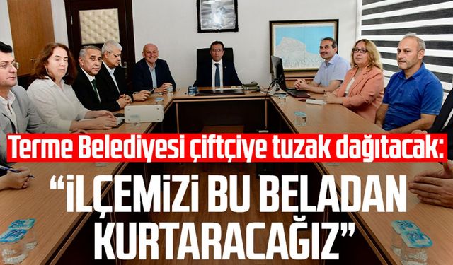 Terme Belediyesi çiftçiye tuzak dağıtacak: İlçemizi bu beladan kurtaracağız