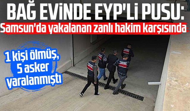 Bağ evinde EYP'li pusu: Samsun'da yakalanan zanlı hakim karşısında