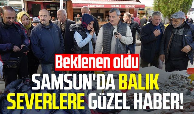 Samsun'da balık severlere güzel haber! Beklenen oldu