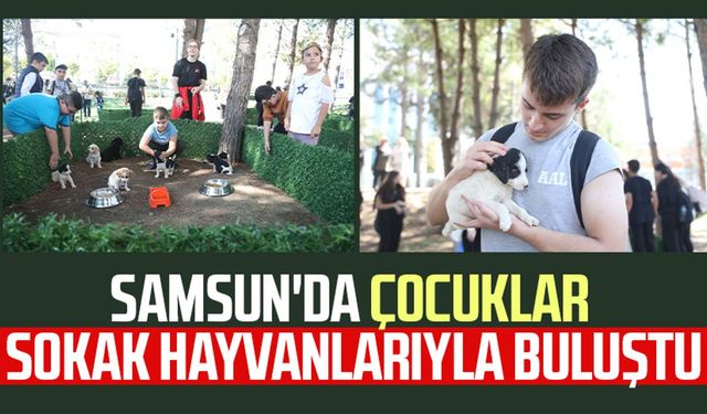 Samsun'da çocuklar sokak hayvanlarıyla buluştu