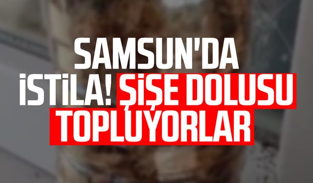 Samsun'da istila! Şişe dolusu topluyorlar