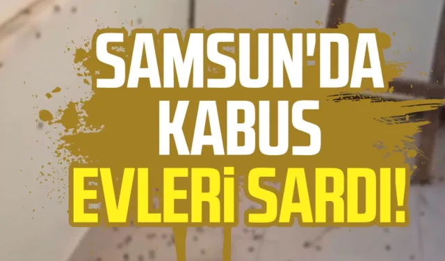 Samsun'da kabus evleri sardı! Mahalleli yardım istedi