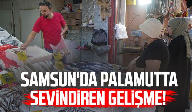 Samsun'da palamutta sevindiren gelişme! Yarı yarıya düştü