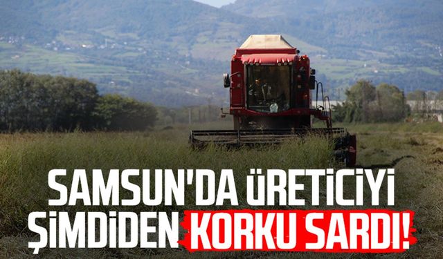 Samsun'da üreticiyi şimdiden korku sardı!