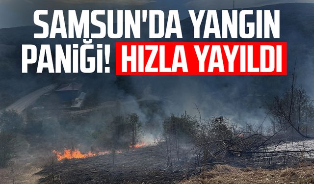 Samsun'da yangın paniği! Hızla yayıldı