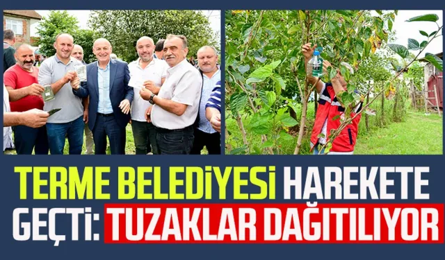 Terme Belediyesi harekete geçti: Tuzaklar dağıtılıyor