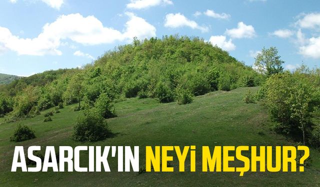 Asarcık'ın neyi meşhur! Asarcık'ta nereye gidilir?