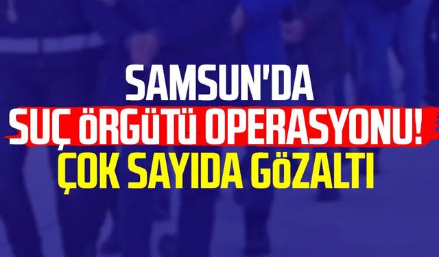 Samsun'da suç örgütü operasyonu! Çok sayıda gözaltı