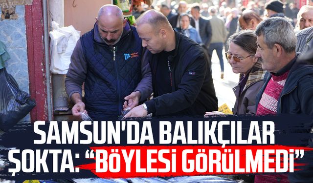 Samsun'da balıkçılar şokta: "Böylesi görülmedi"