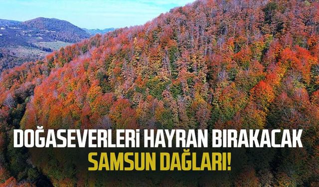 Doğaseverleri hayran bırakacak Samsun dağları!