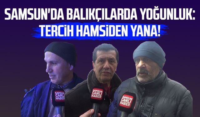 Samsun'da balıkçılarda yoğunluk: Tercih hamsiden yana!