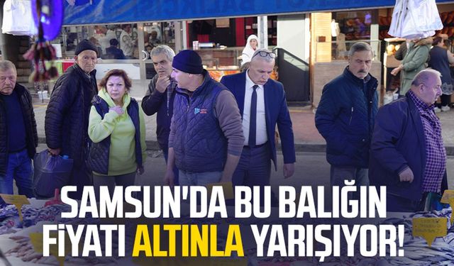 Samsun'da bu balığın fiyatı altınla yarışıyor!