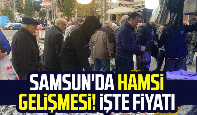 Samsun'da hamsi gelişmesi! İşte fiyatı