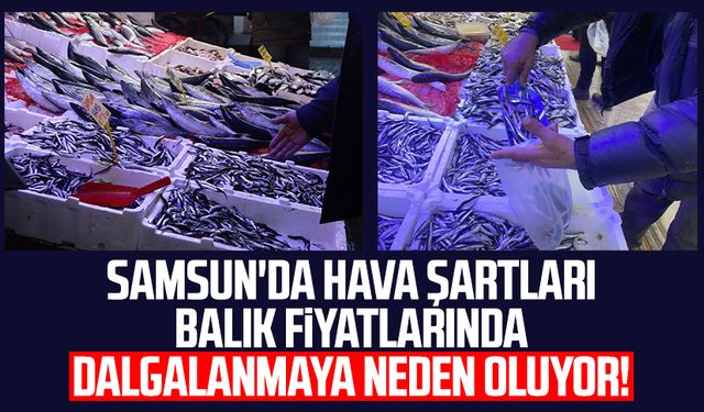 Samsun'da hava şartları balık fiyatlarında dalgalanmaya neden oluyor!