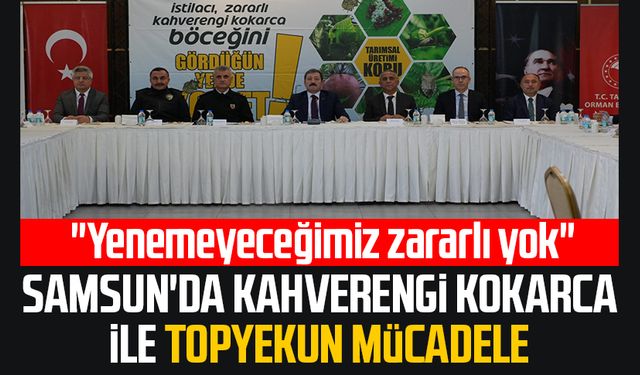 Samsun'da kahverengi kokarca ile topyekun mücadele: "Yenemeyeceğimiz zararlı yok"