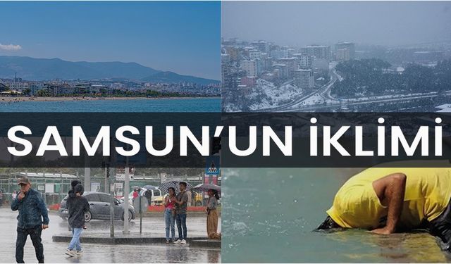 Samsun'un iklimi