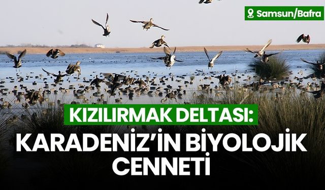 Samsun Kızılırmak Deltası: Eşsiz bir doğa deneyimi