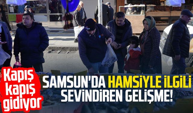 Samsun'da hamsi müjdesi! Kapış kapış gidiyor