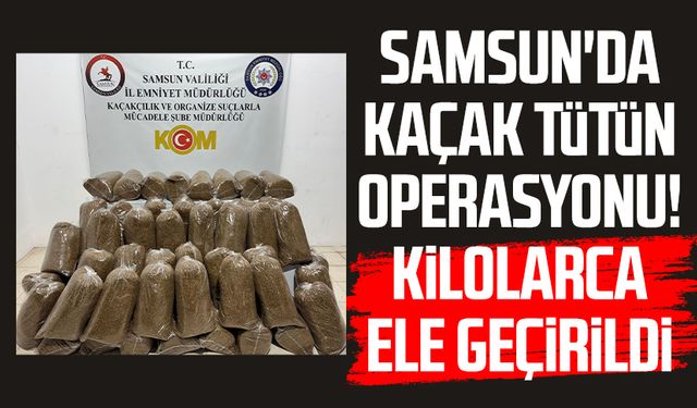 Samsun'da kaçak tütün operasyonu! Kilolarca ele geçirildi