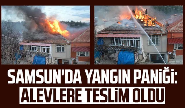 Samsun'da yangın paniği: Alevlere teslim oldu