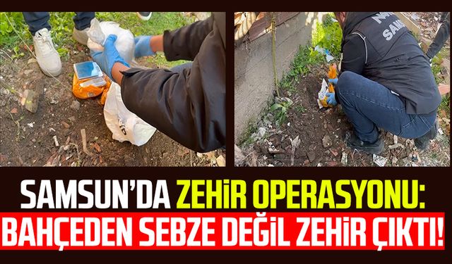 Samsun’da zehir operasyonu: Bahçeden sebze değil zehir çıktı!