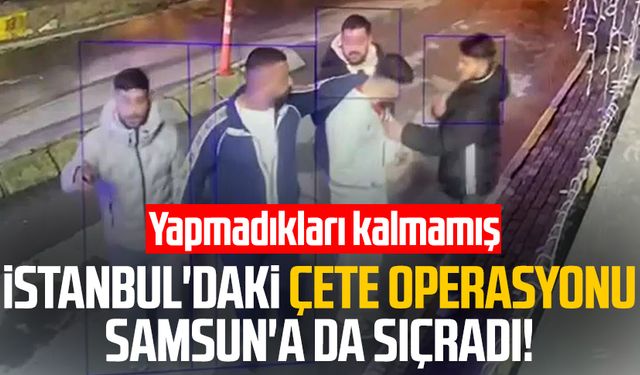 İstanbul'daki çete operasyonu Samsun'a da sıçradı!