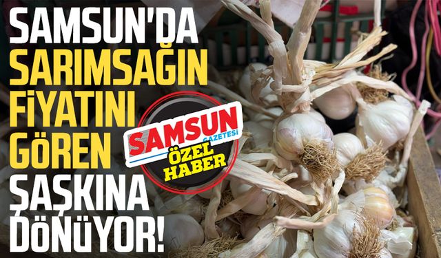 Samsun'da sarımsağın fiyatını gören şaşkına dönüyor!