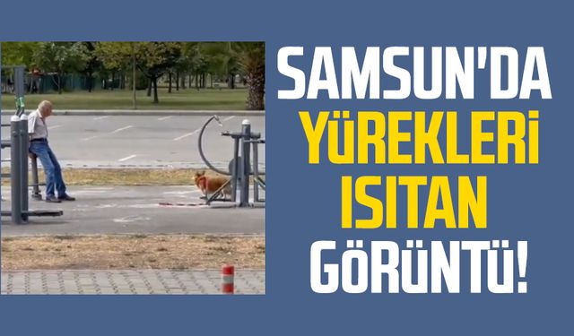 Samsun'da yürekleri ısıtan görüntü: Beğeni topladı