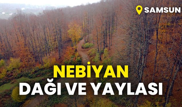 Samsun'un saklı hazinesi: Nebiyan Dağı ve Yaylası