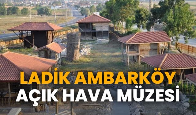 Samsun'da doğayla iç içe açık hava müzesi: Ladik Ambarköy