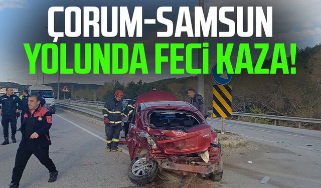 Çorum-Samsun yolunda feci kaza!