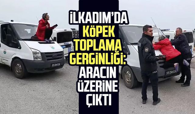 İlkadım’da köpek toplama gerginliği: Aracın üzerine çıktı